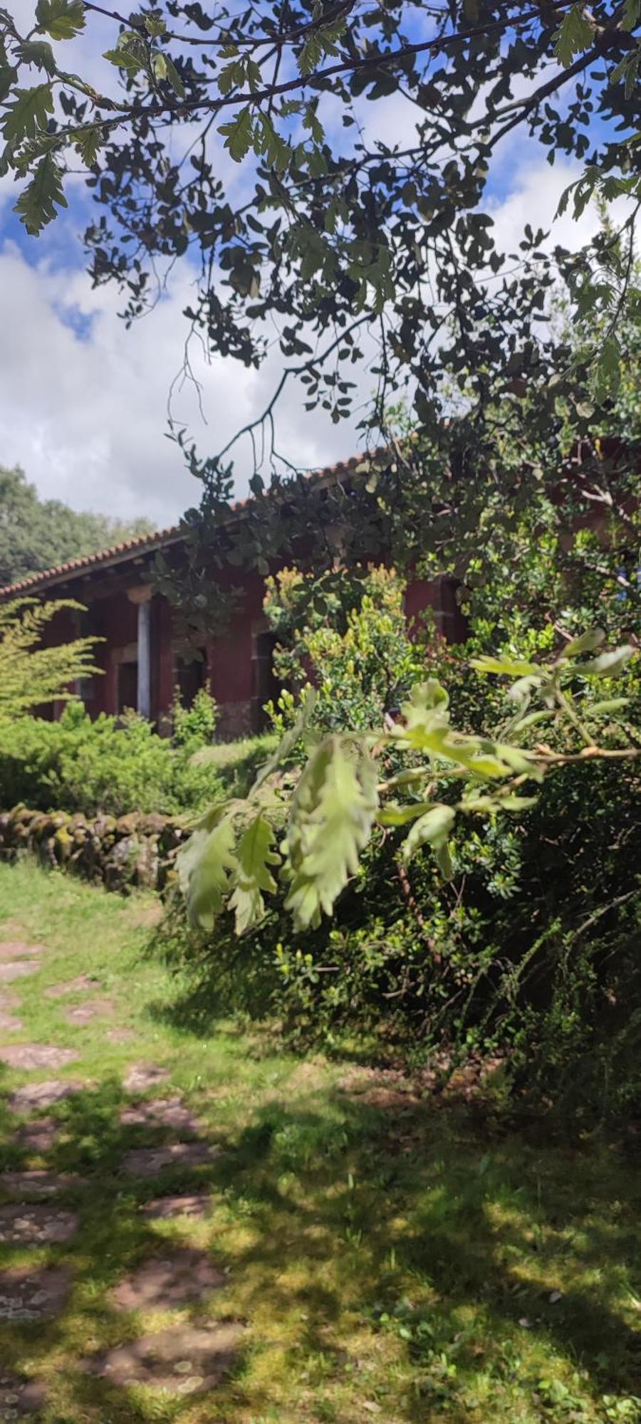 Apartamentos Rurales La Oropendola Jaraiz de la Vera Bagian luar foto