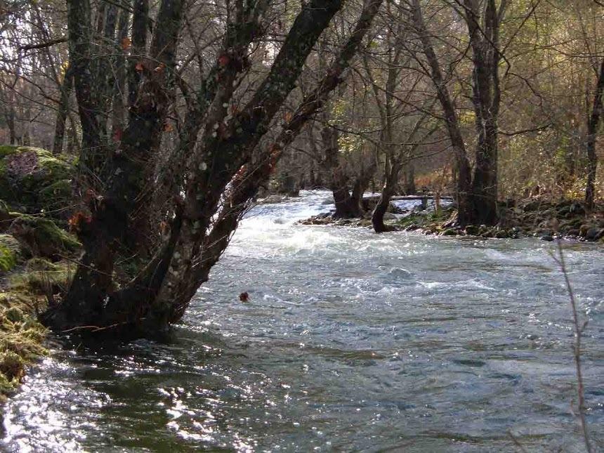 Apartamentos Rurales La Oropendola Jaraiz de la Vera Bagian luar foto