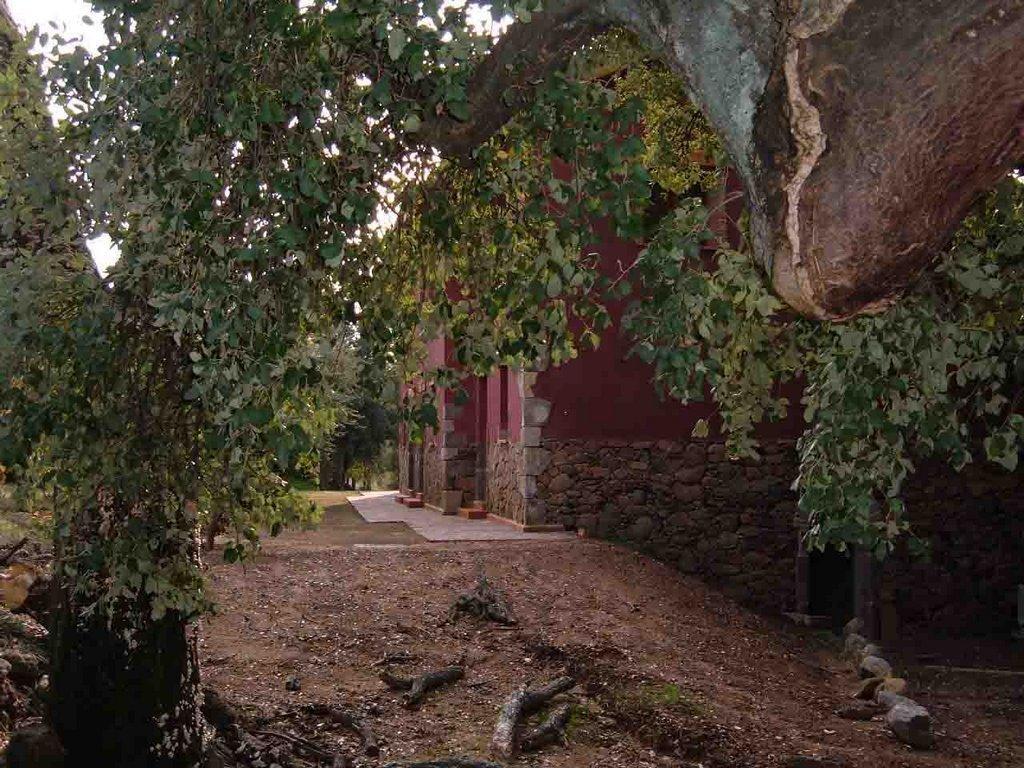 Apartamentos Rurales La Oropendola Jaraiz de la Vera Bagian luar foto